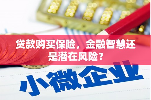 湟源贷款购买保险，金融智慧还是潜在风险？