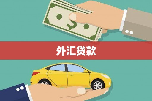 湟源外汇贷款