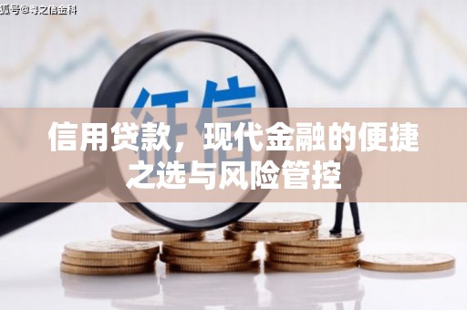 湟源信用贷款，现代金融的便捷之选与风险管控