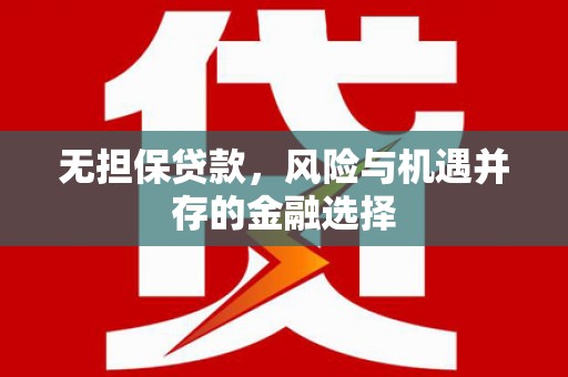 湟源无担保贷款，风险与机遇并存的金融选择