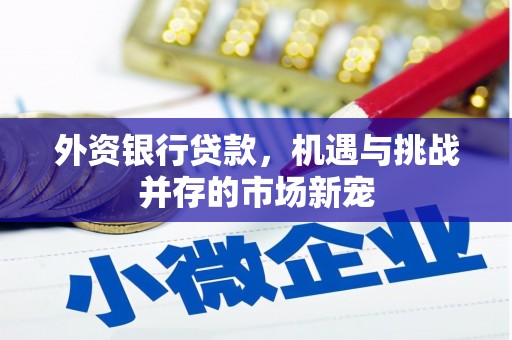 湟源外资银行贷款，机遇与挑战并存的市场新宠