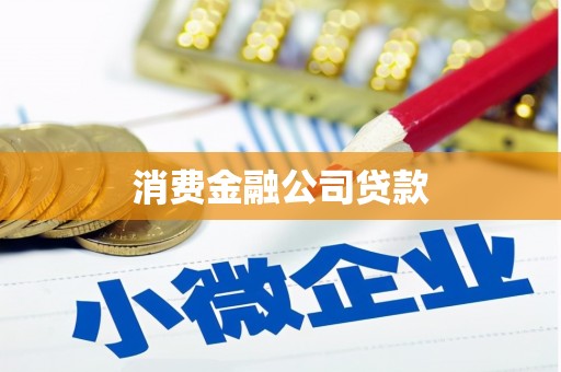 湟源消费金融公司贷款