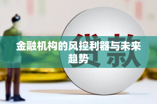 湟源金融机构的风控利器与未来趋势