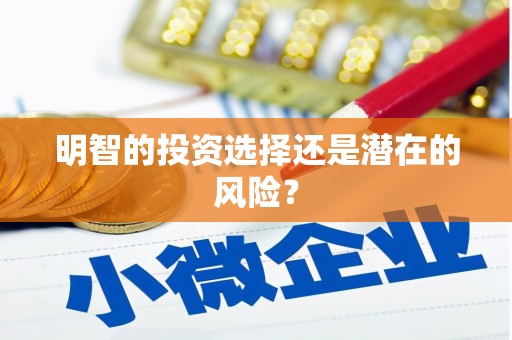 湟源明智的投资选择还是潜在的风险？