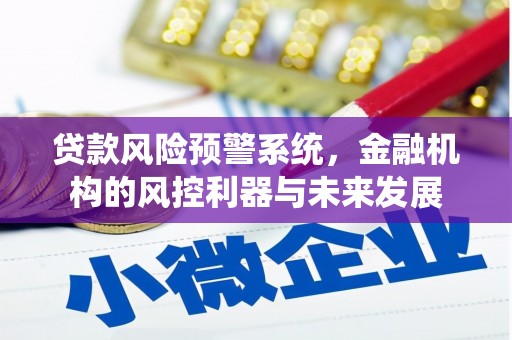 湟源贷款风险预警系统，金融机构的风控利器与未来发展