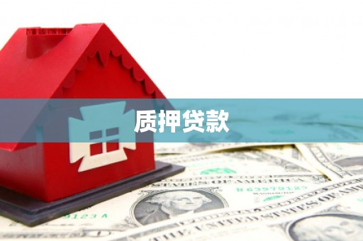 湟源质押贷款