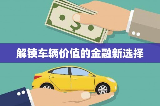 湟源解锁车辆价值的金融新选择