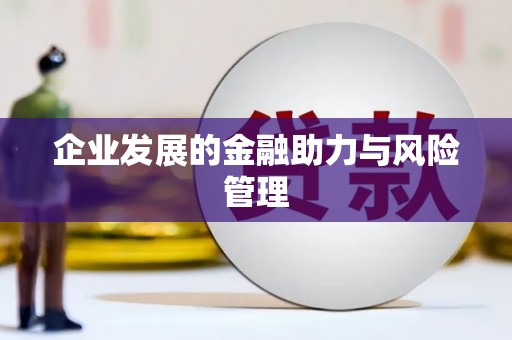 湟源企业发展的金融助力与风险管理