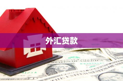 湟源外汇贷款