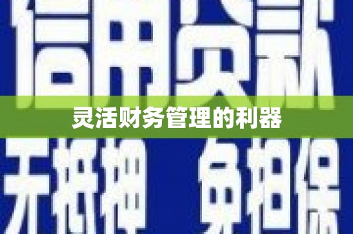 湟源灵活财务管理的利器