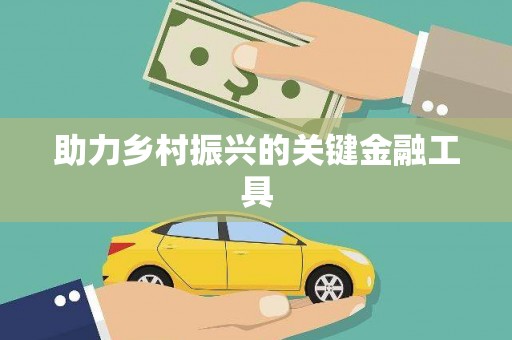 湟源助力乡村振兴的关键金融工具