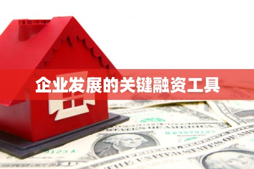 湟源企业发展的关键融资工具