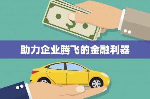 湟源助力企业腾飞的金融利器