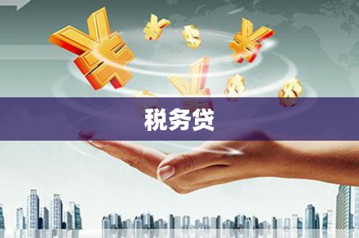 湟源税务贷