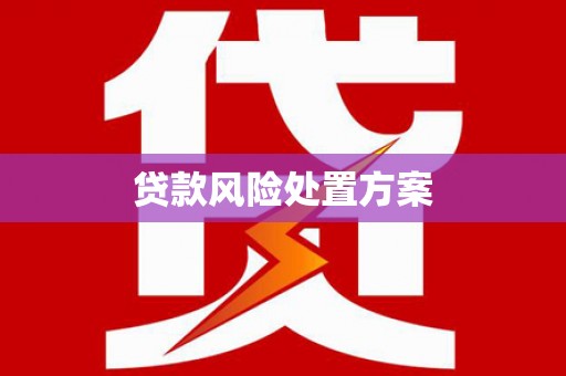 湟源贷款风险处置方案