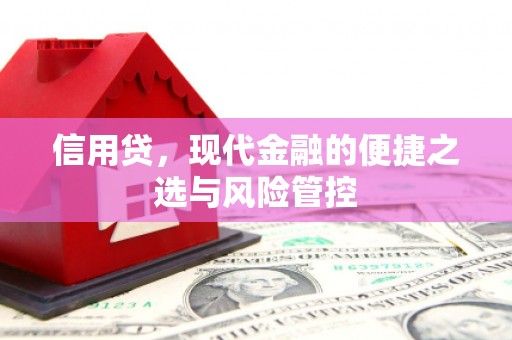 湟源信用贷，现代金融的便捷之选与风险管控