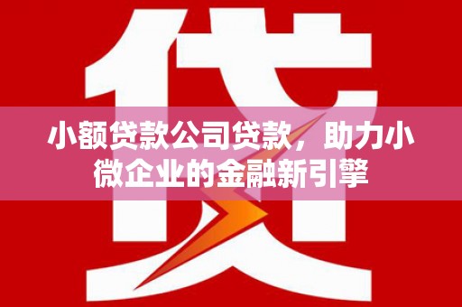 湟源小额贷款公司贷款，助力小微企业的金融新引擎