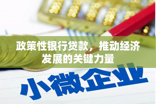 湟源政策性银行贷款，推动经济发展的关键力量