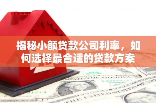 湟源揭秘小额贷款公司利率，如何选择最合适的贷款方案