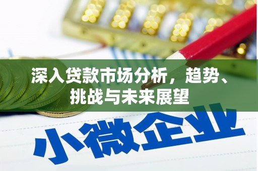 湟源深入贷款市场分析，趋势、挑战与未来展望