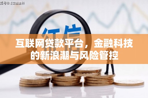 湟源互联网贷款平台，金融科技的新浪潮与风险管控