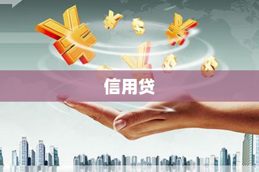 湟源信用贷
