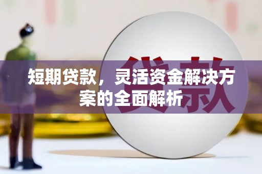 湟源短期贷款，灵活资金解决方案的全面解析