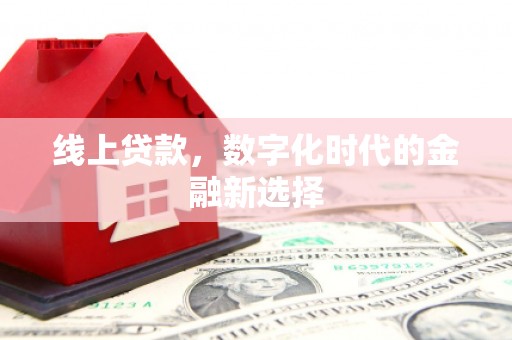 湟源线上贷款，数字化时代的金融新选择