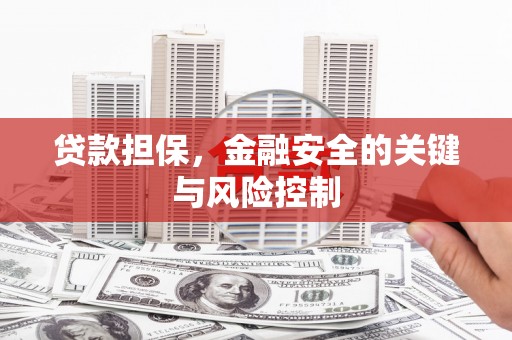 湟源贷款担保，金融安全的关键与风险控制