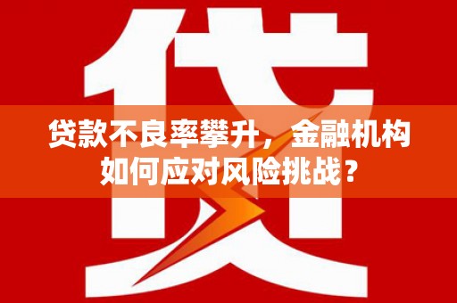 湟源贷款不良率攀升，金融机构如何应对风险挑战？