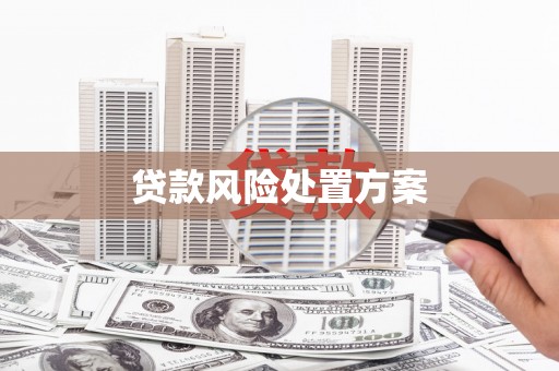 湟源贷款风险处置方案
