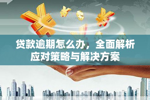 湟源贷款逾期怎么办，全面解析应对策略与解决方案