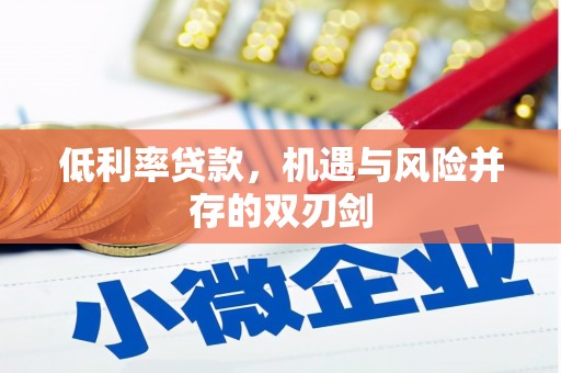 湟源低利率贷款，机遇与风险并存的双刃剑