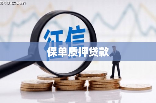 湟源保单质押贷款