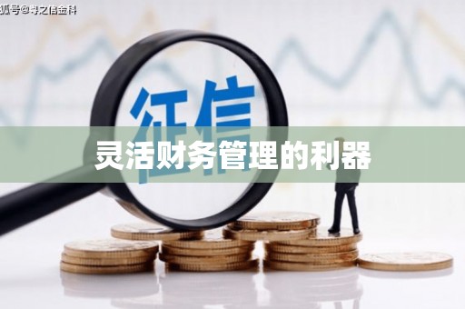 湟源灵活财务管理的利器
