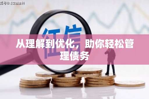 湟源从理解到优化，助你轻松管理债务