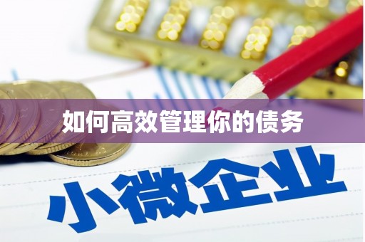 湟源如何高效管理你的债务