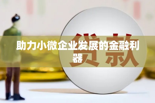 湟源助力小微企业发展的金融利器