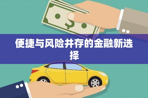湟源便捷与风险并存的金融新选择