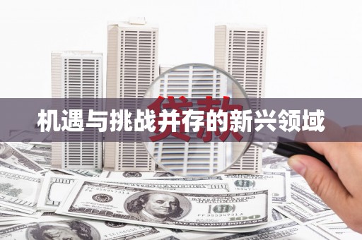 湟源机遇与挑战并存的新兴领域