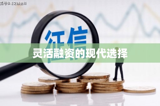湟源灵活融资的现代选择