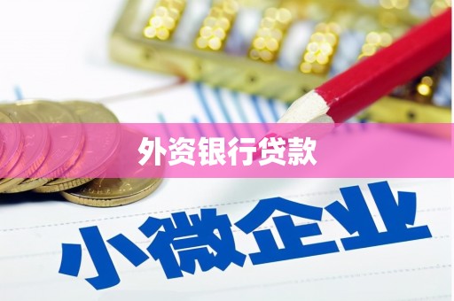 湟源外资银行贷款