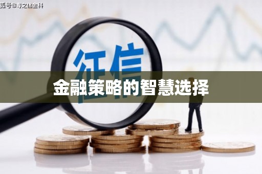 湟源金融策略的智慧选择