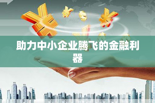 湟源助力中小企业腾飞的金融利器