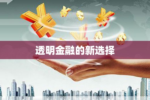 湟源透明金融的新选择