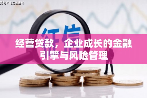 湟源经营贷款，企业成长的金融引擎与风险管理