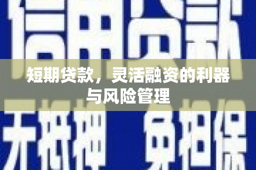 湟源短期贷款，灵活融资的利器与风险管理