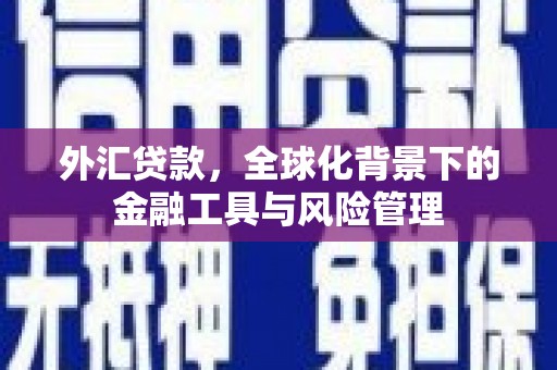 湟源外汇贷款，全球化背景下的金融工具与风险管理