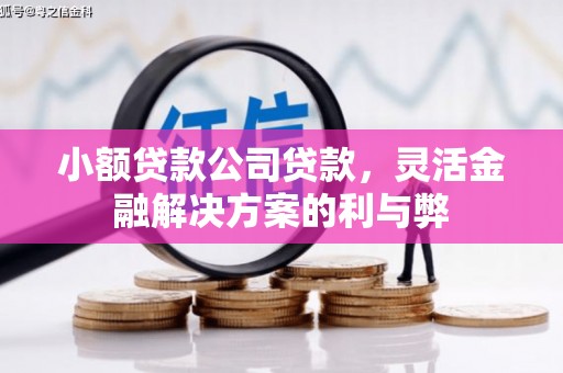 湟源小额贷款公司贷款，灵活金融解决方案的利与弊