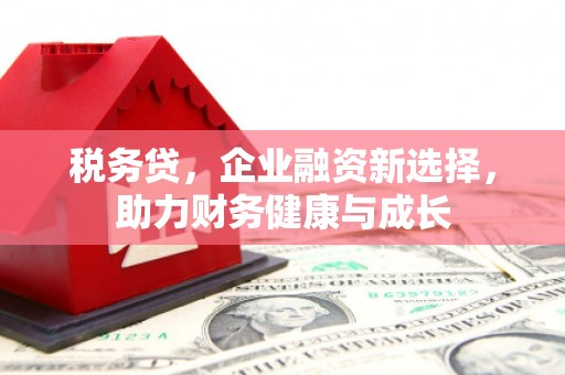湟源税务贷，企业融资新选择，助力财务健康与成长